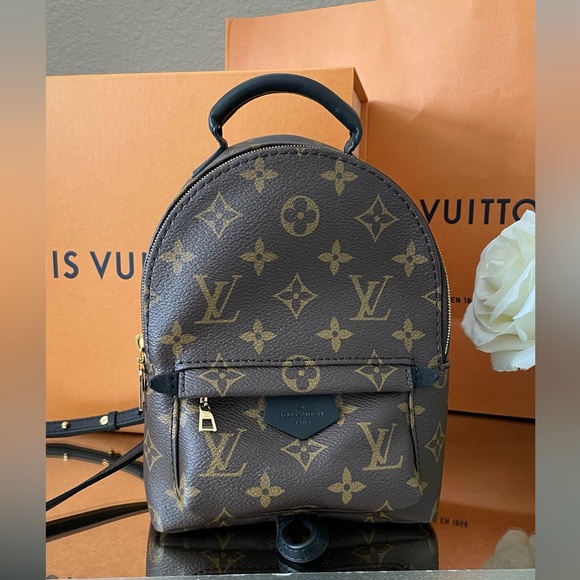 Louis Vuitton Palm Springs Mini - Picture 15 of 16